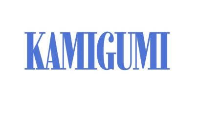 kamigumi.targetinternationalinc.com